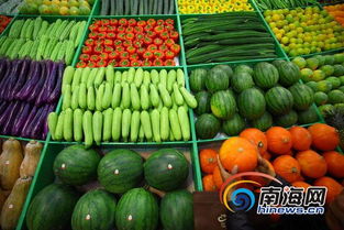 海口啟動(dòng)平價(jià)菜投放計(jì)劃 每日200噸保供應(yīng)穩(wěn)價(jià)格