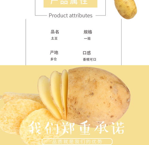 云南黃皮小土豆 現(xiàn)挖現(xiàn)賣的新鮮馬鈴薯，體驗(yàn)?zāi)嗤恋姆曳? />
</span>
<span id=